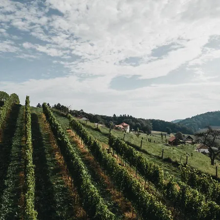 Dietrich - 64 Апартаменты *