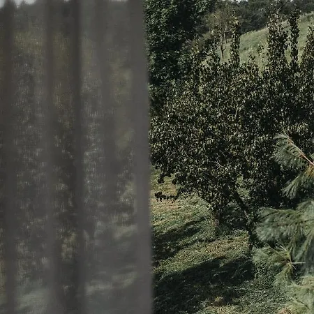 Dietrich - 64 * Leibnitz