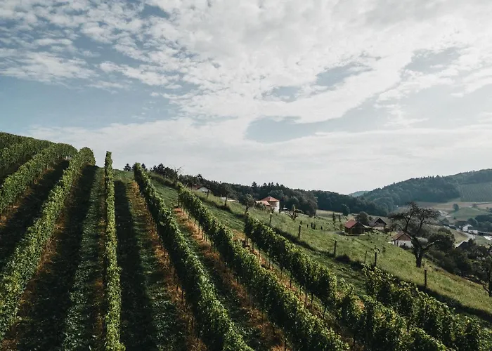 Dietrich - 64 Appartement *