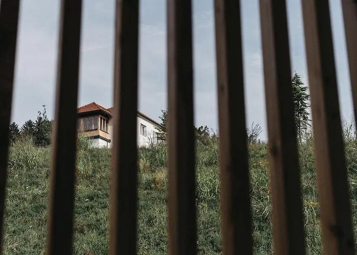 Dietrich - 64 Leibnitz