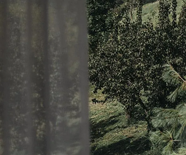 Dietrich - 64 * Leibnitz